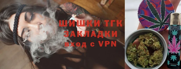 гидра Каменногорск