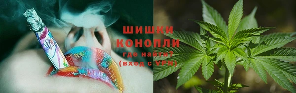 гидра Каменногорск