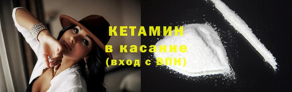 гидра Каменногорск