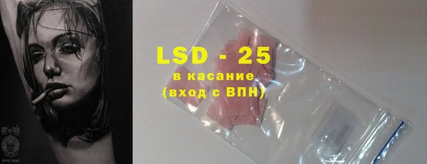 гидра Каменногорск