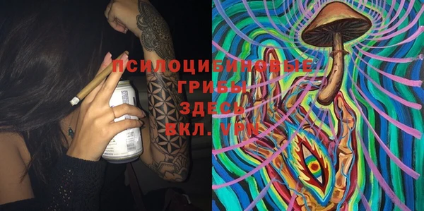 гидра Каменногорск