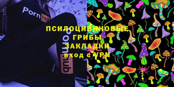 стаф Каменск-Шахтинский