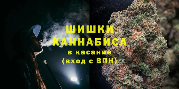 ALPHA-PVP Каменка