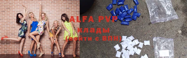 гидра Каменногорск