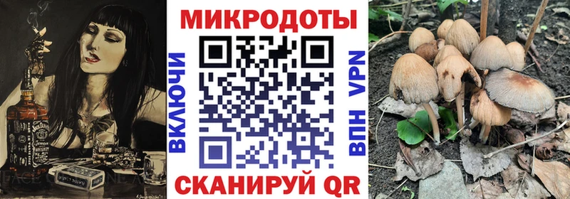 Купить закладки  Белоусово  Псилоцибиновые грибы Cubensis 